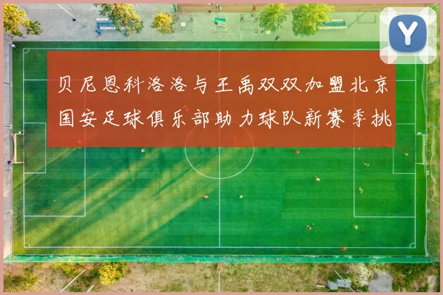 贝尼恩科洛洛与王禹双双加盟北京国安足球俱乐部助力球队新赛季挑战